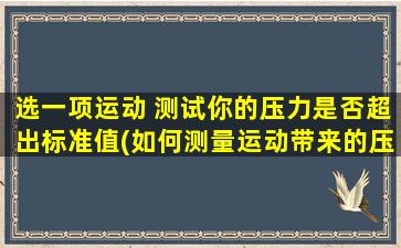 选一项运动 测试你的压力是否超出标准值(如何测量运动带来的压力？详细了解压力标准值并进行测试！)